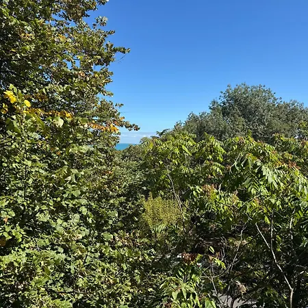 Lazur First Line 公寓 *