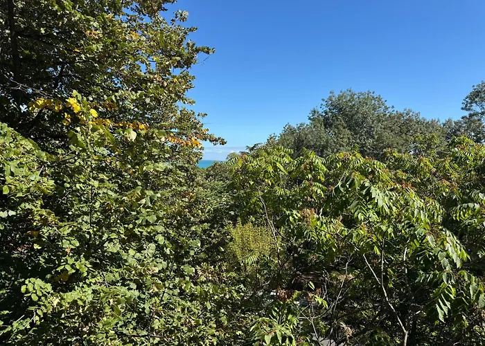 Lazur First Line דירה *